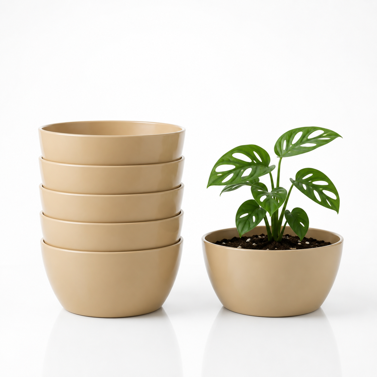 SHERA | STELLA K PLANTER