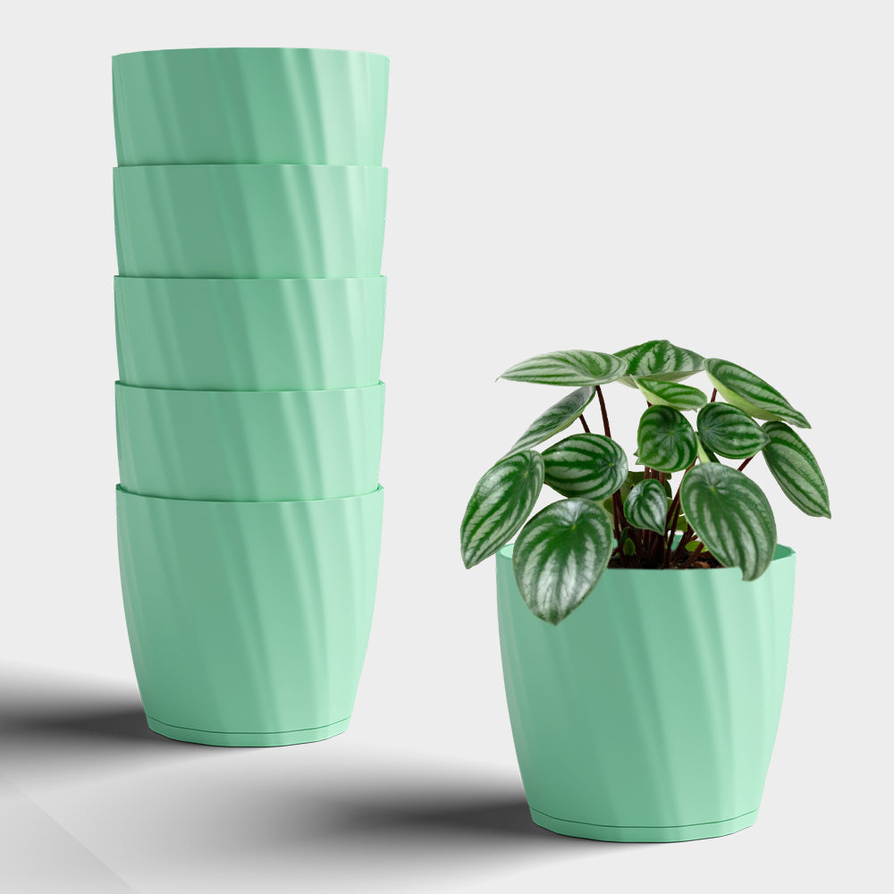 SHERA | ZINNIA PLANTER