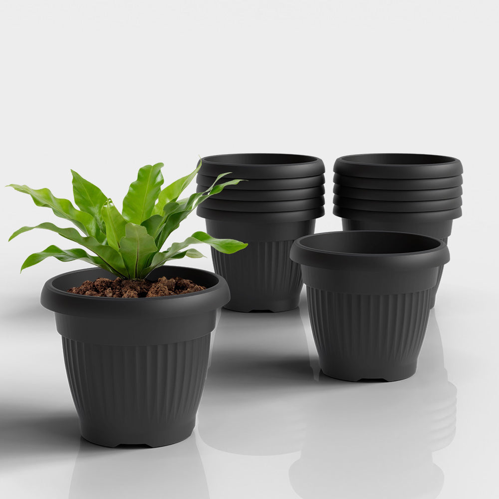 SHERA | BLOOM PLANTER