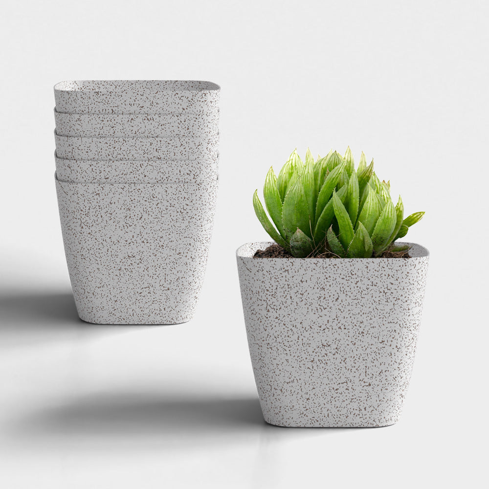 SHERA | STOIC PLANTER