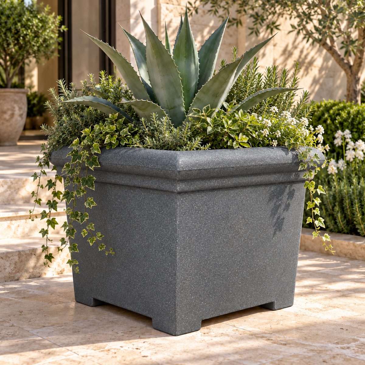 FOX B | BS PLANTER