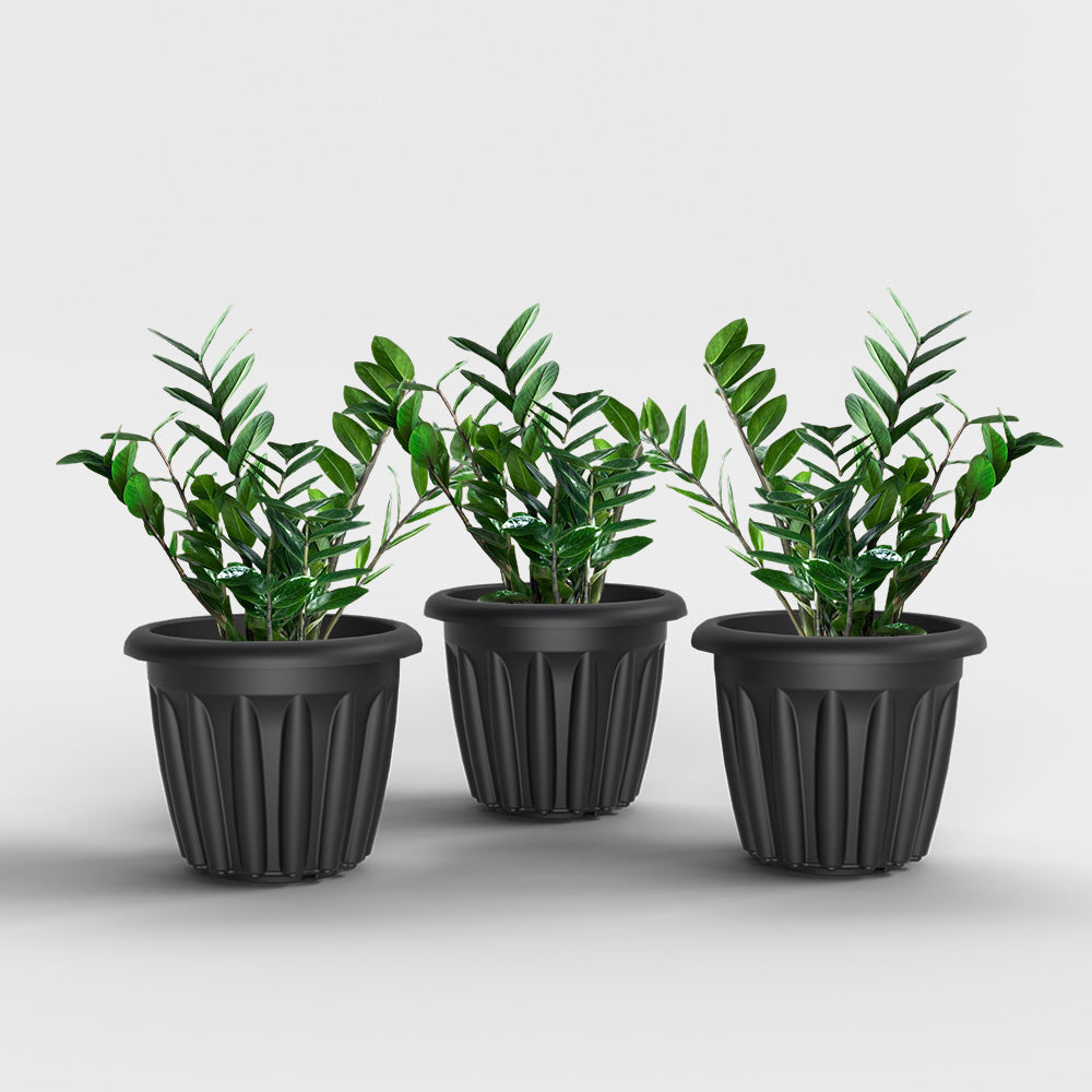 SHERA | FLOOT PLANTER