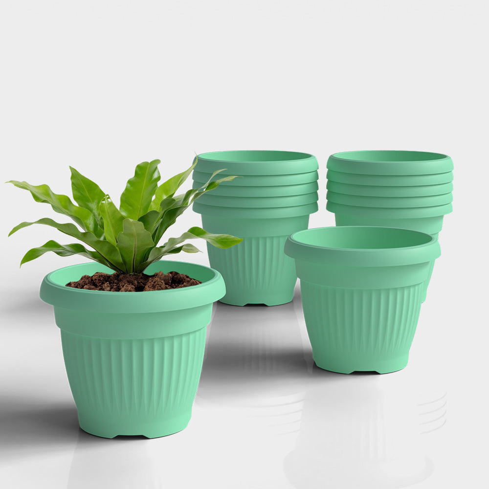 SHERA | BLOOM PLANTER