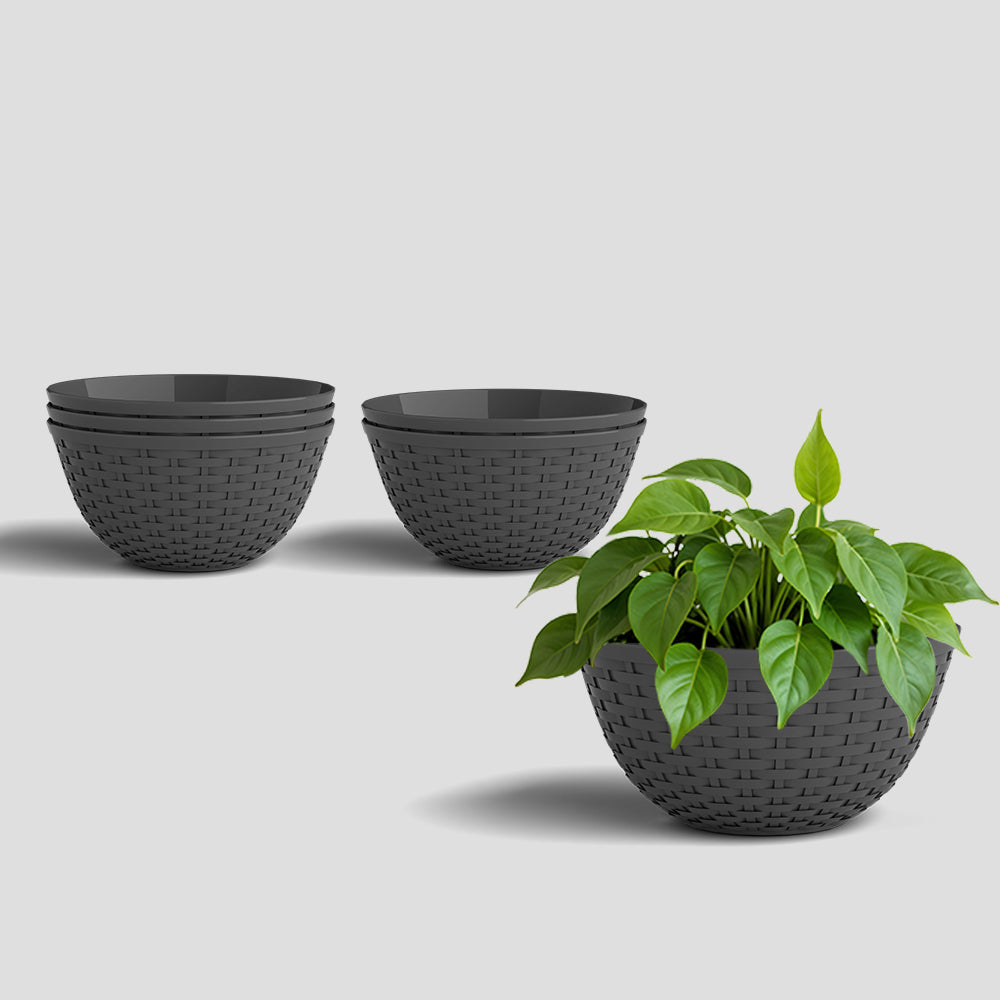 SHERA | CHICK KTR PLANTER