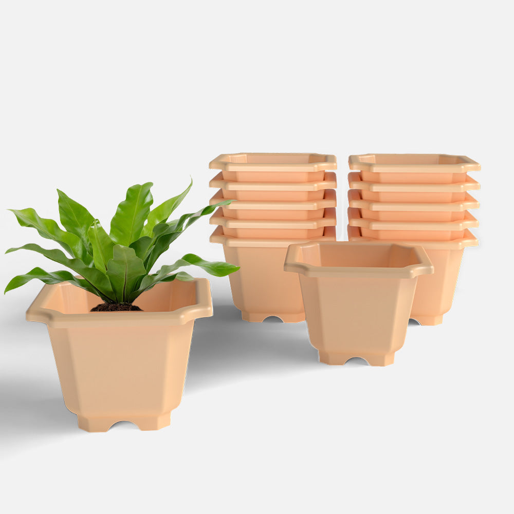 SHERA | OCTA PLANTER SET OF 12