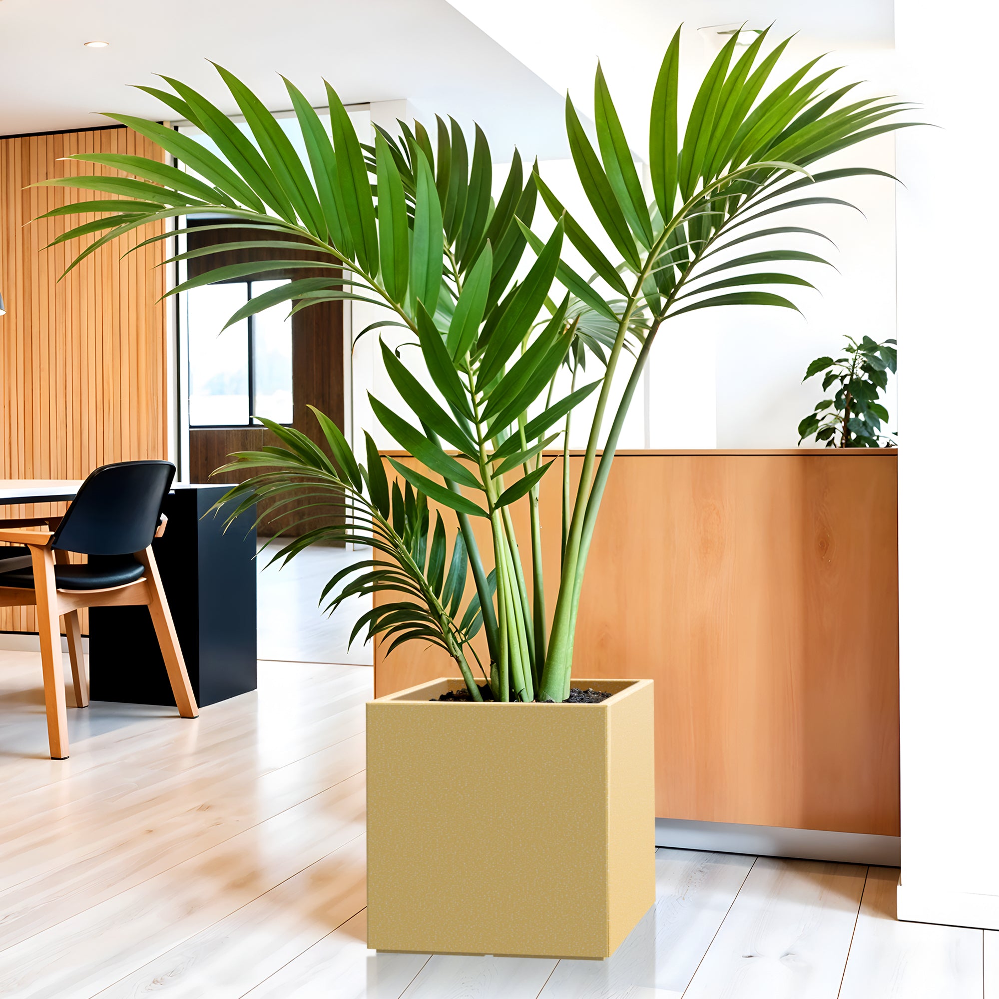 FOX B | CUBO PLANTER