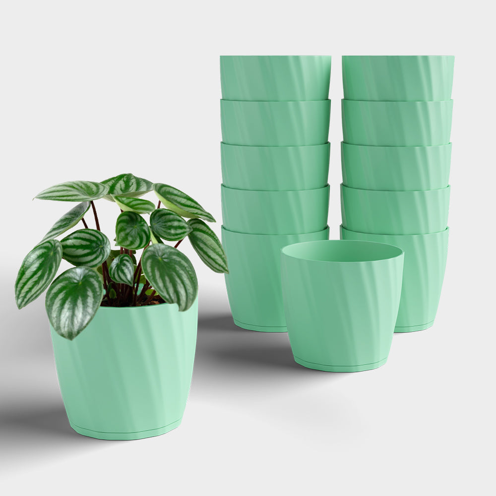 SHERA | ZINNIA PLANTER