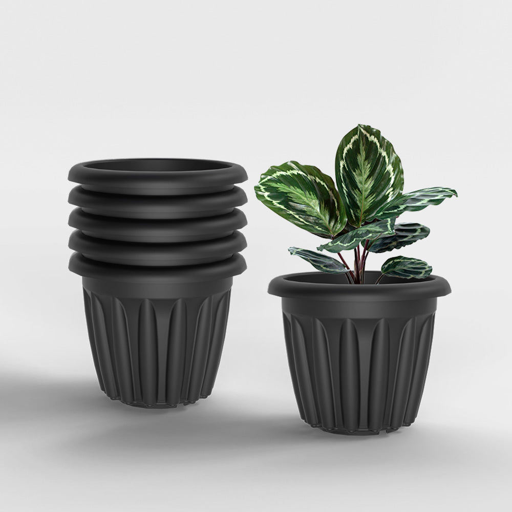 SHERA | FLOOT PLANTER