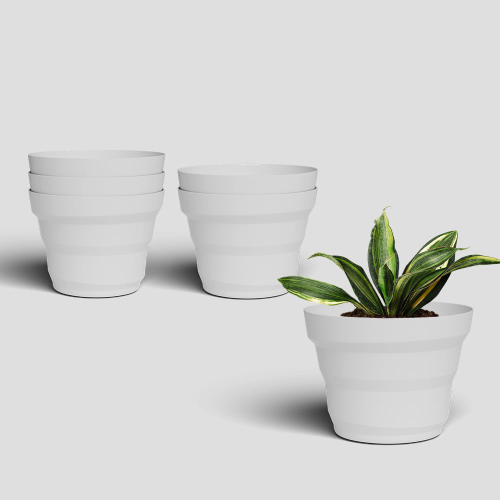 SHERA | RING PLANTER