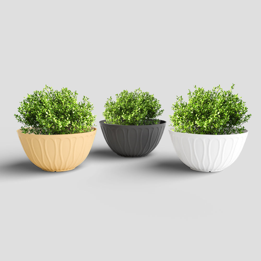 SHERA | WAVE KTR PLANTER