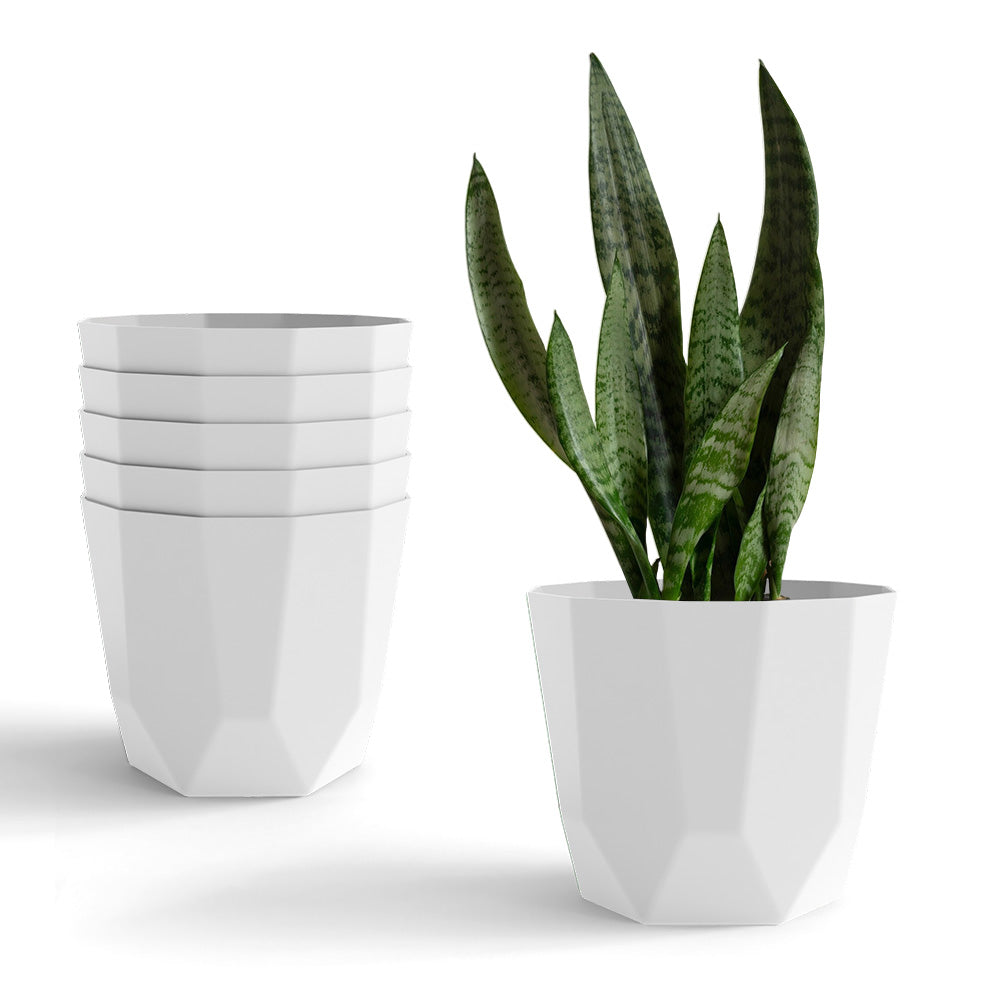SHERA | HEXA PLANTER