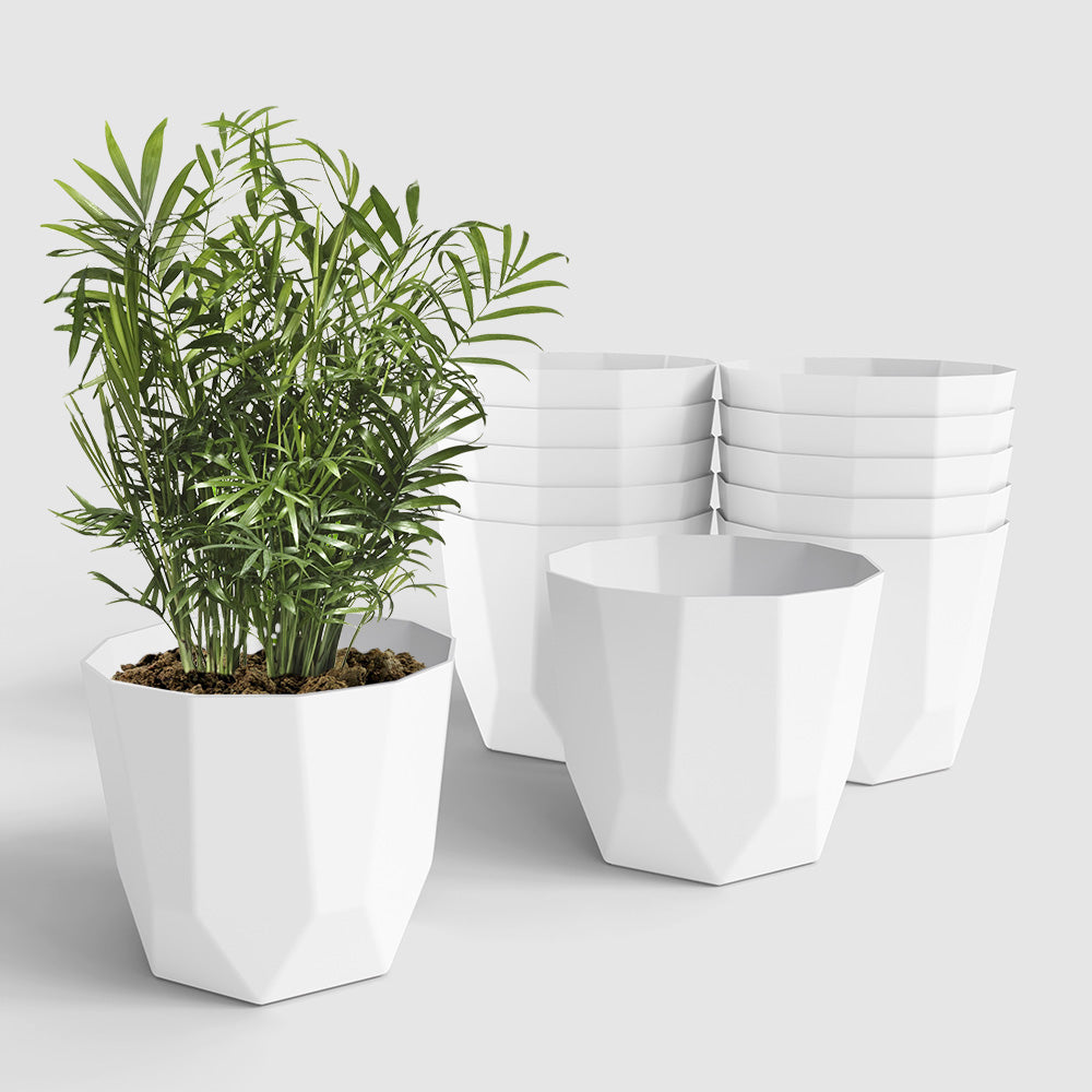 SHERA | HEXA PLANTER