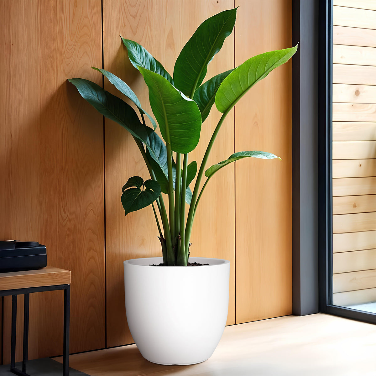 FOX B | P CUP PLANTER 6 INCH TO 15 INCH