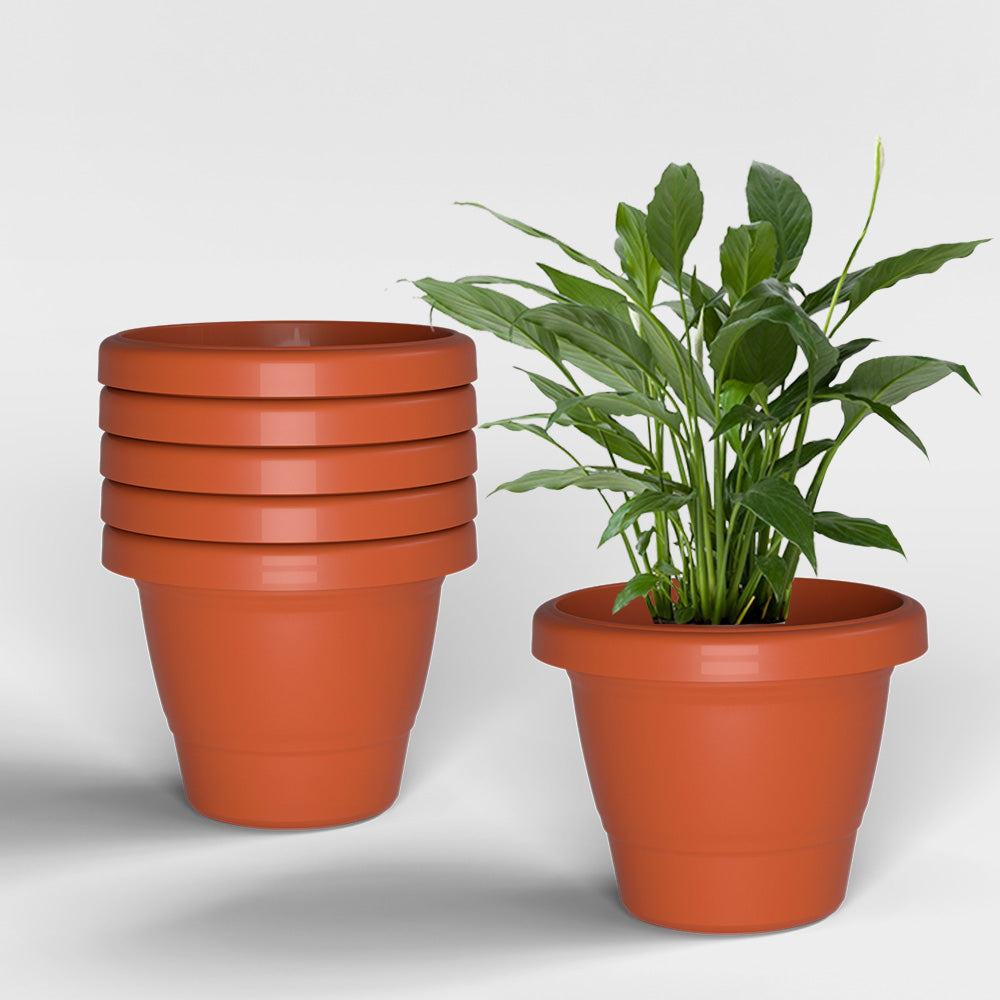 SHERA | SD PLANTER