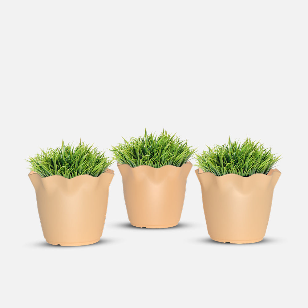SHERA | FLOWER PLANTER