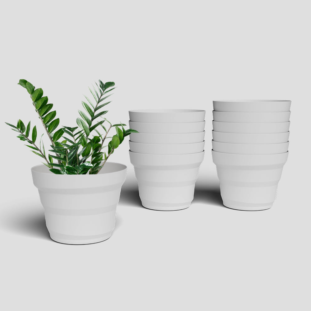 SHERA | RING PLANTER