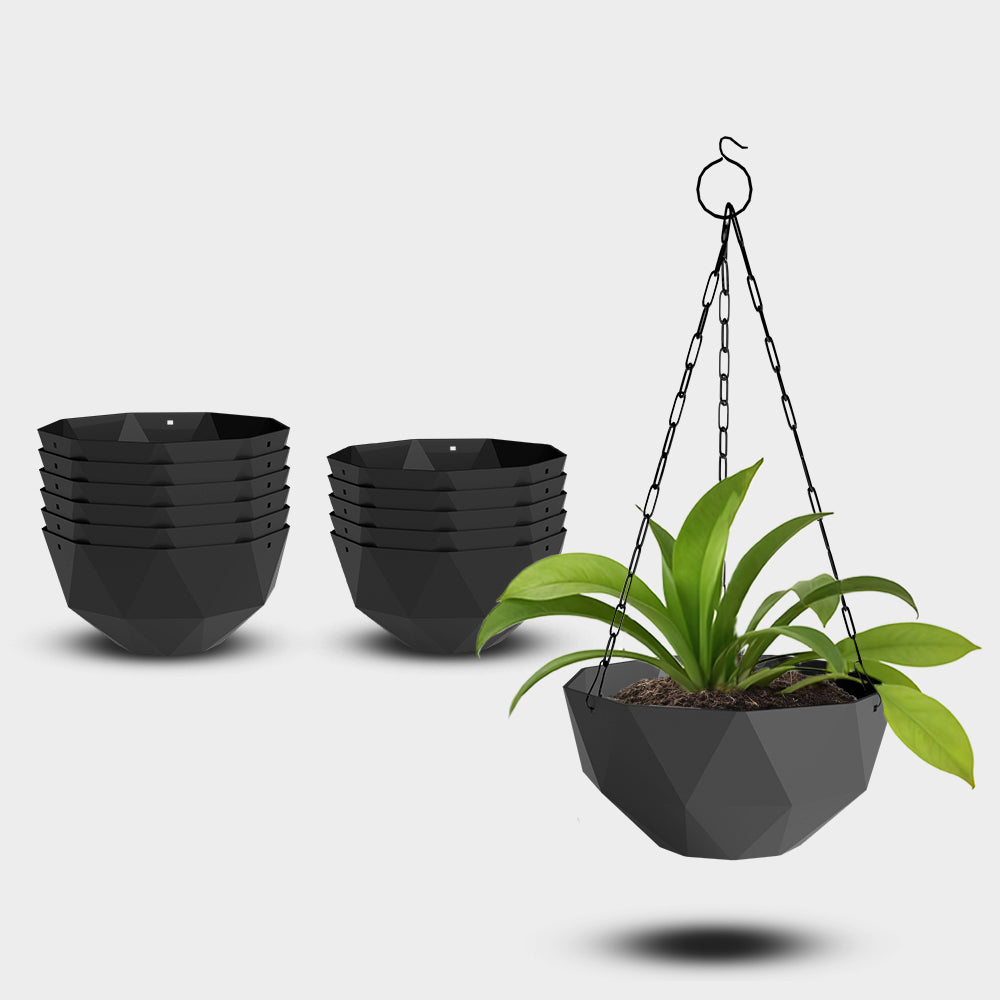 SHERA | DMD KTR HANGING