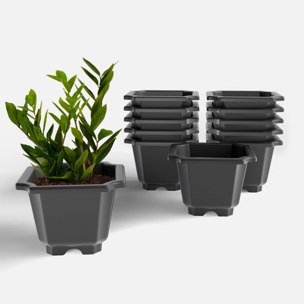 SHERA | OCTA PLANTER SET OF 12