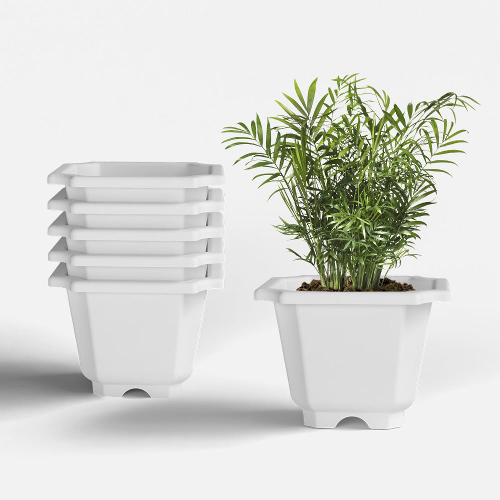SHERA | OCTA PLANTER SET OF 6