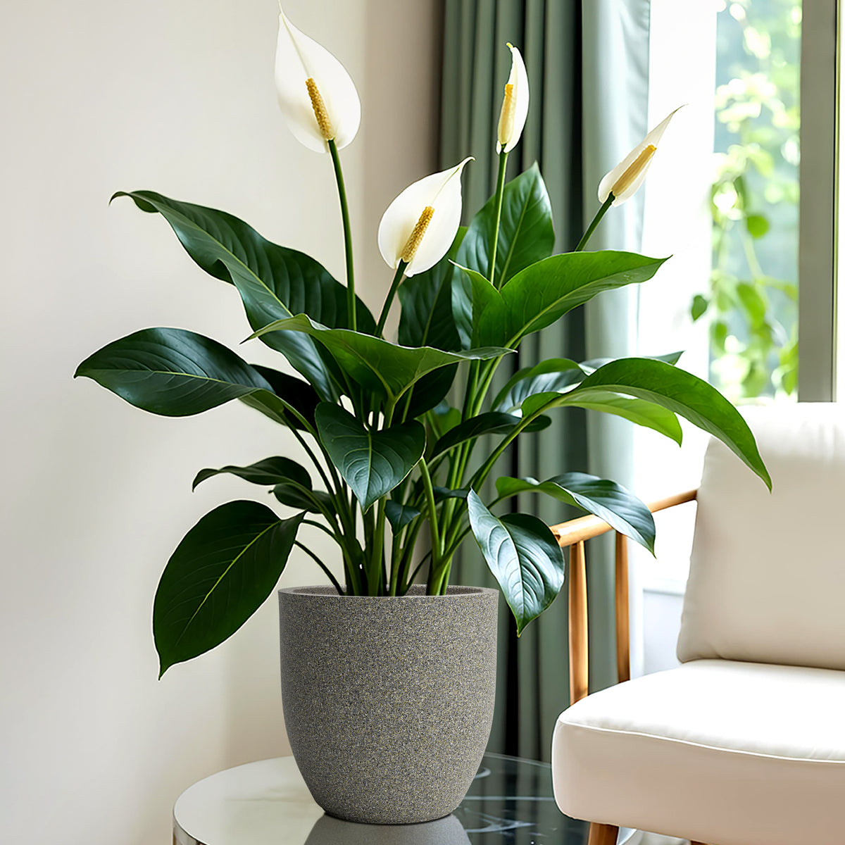 FOX B | P CUP PLANTER 6 INCH TO 15 INCH
