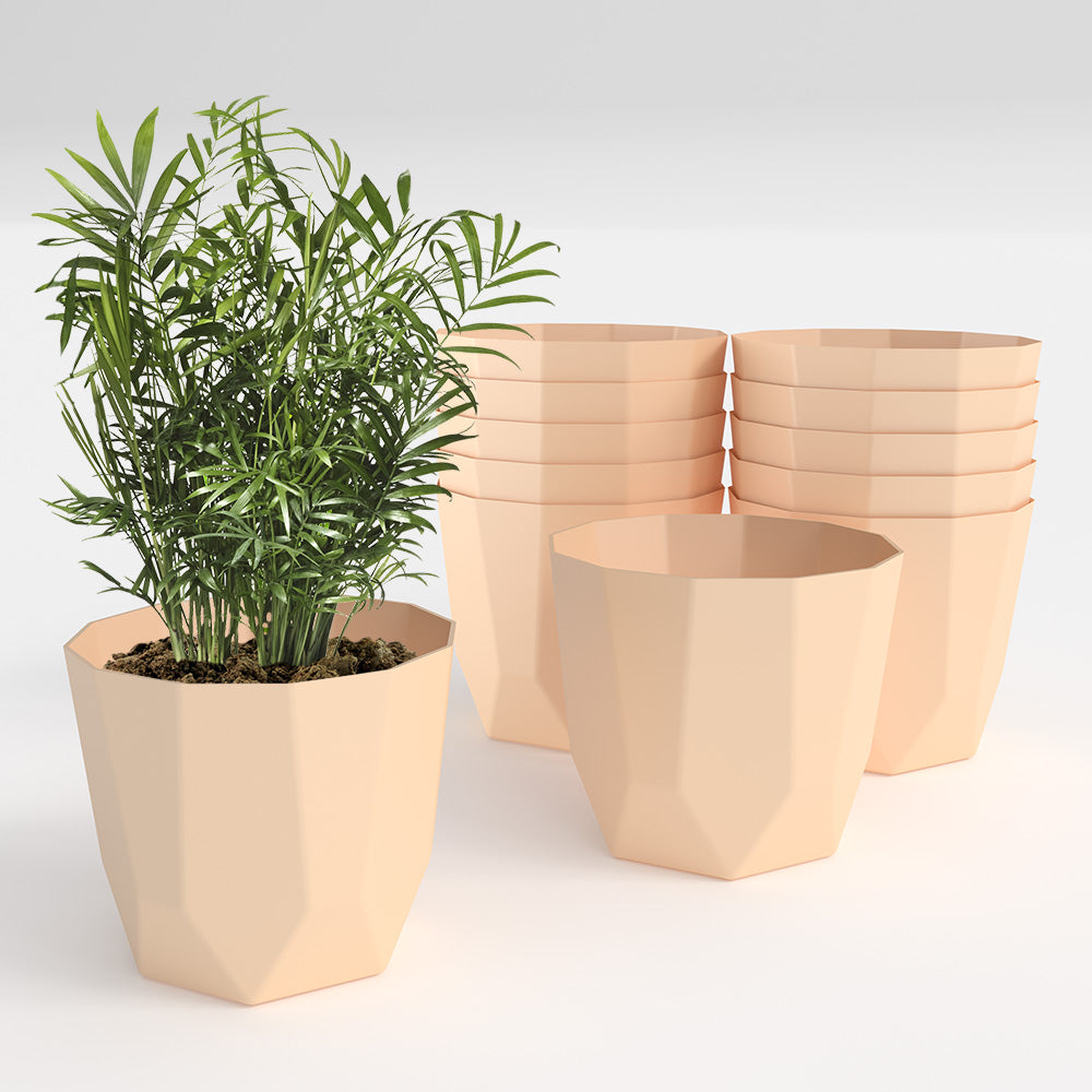 SHERA | HEXA PLANTER