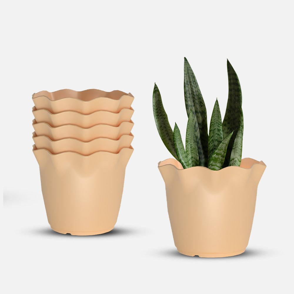 SHERA | FLOWER PLANTER