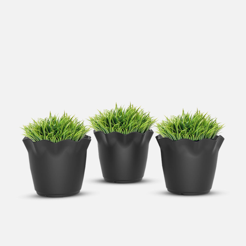 SHERA | FLOWER PLANTER