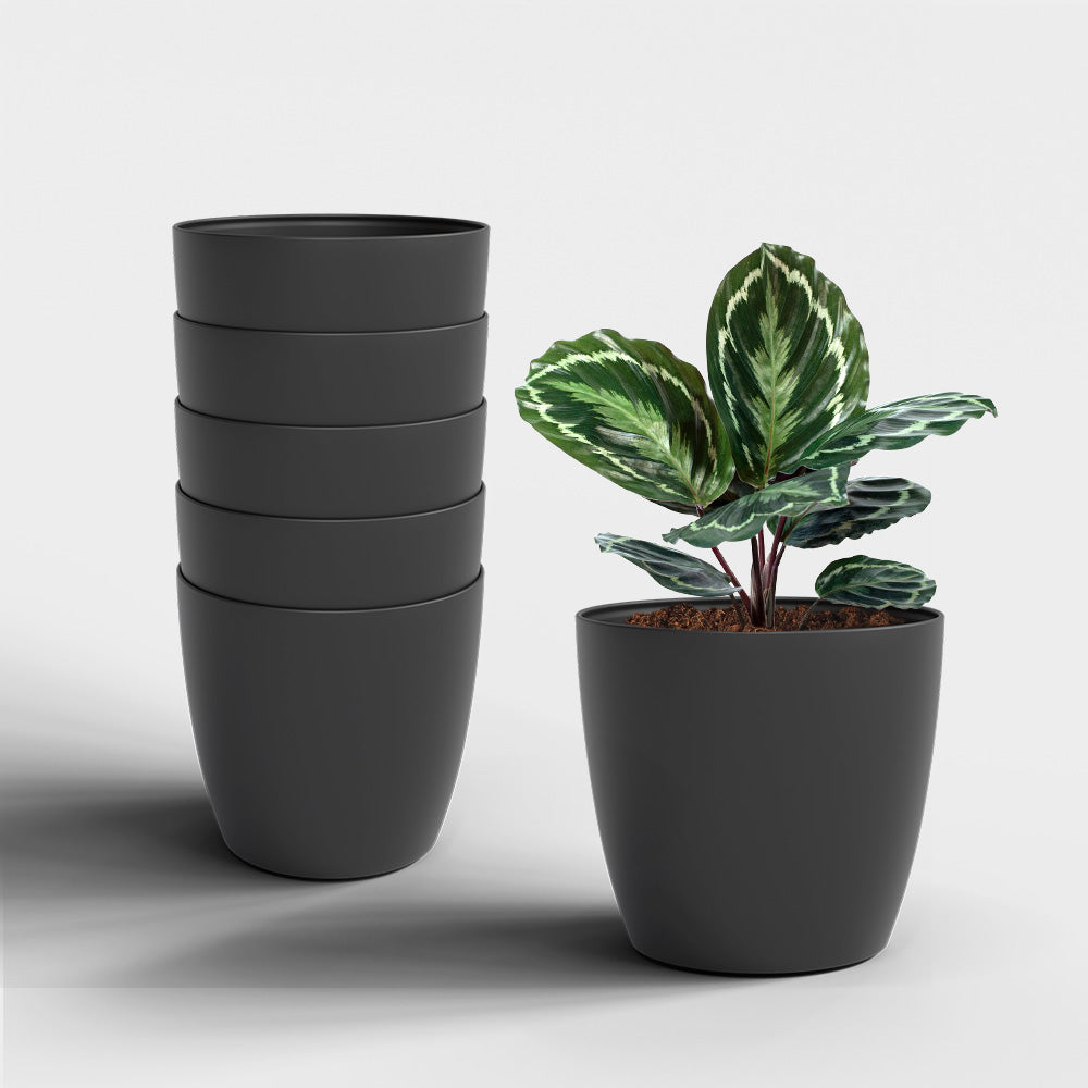 SHERA | STELLA PLANTER