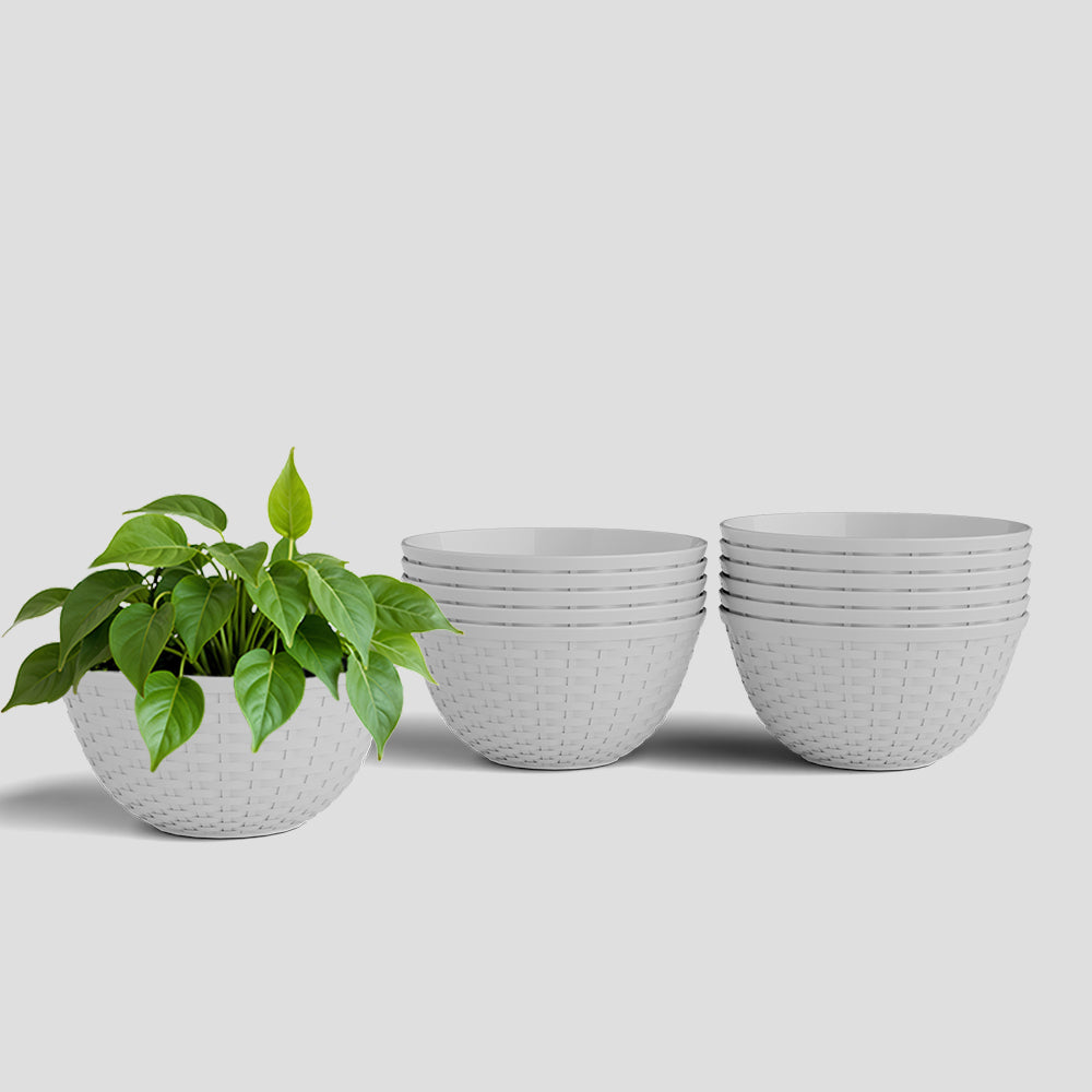 SHERA | CHICK KTR PLANTER