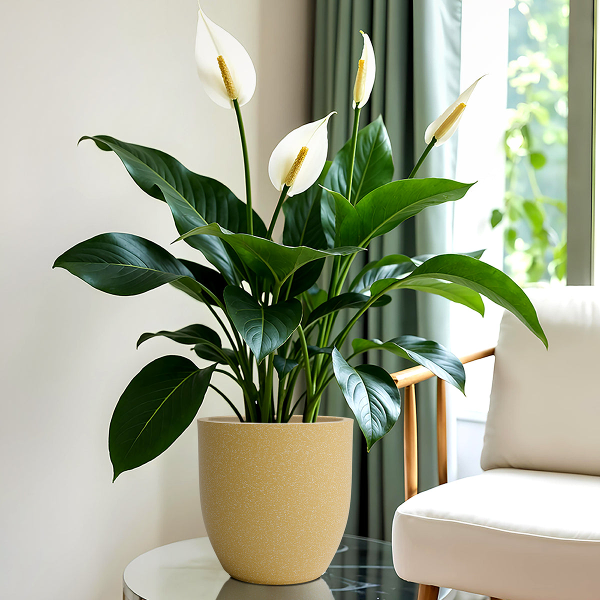 FOX B | P CUP PLANTER 6 INCH TO 15 INCH