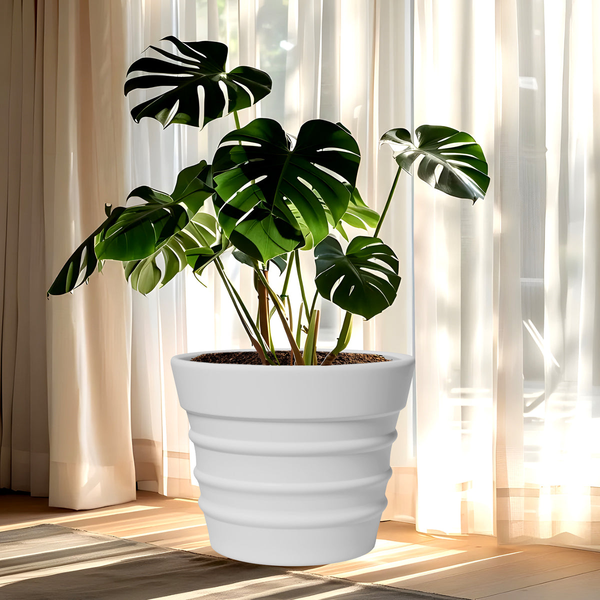 FOX B | BR PLANTER