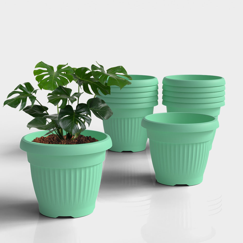 SHERA | BLOOM PLANTER