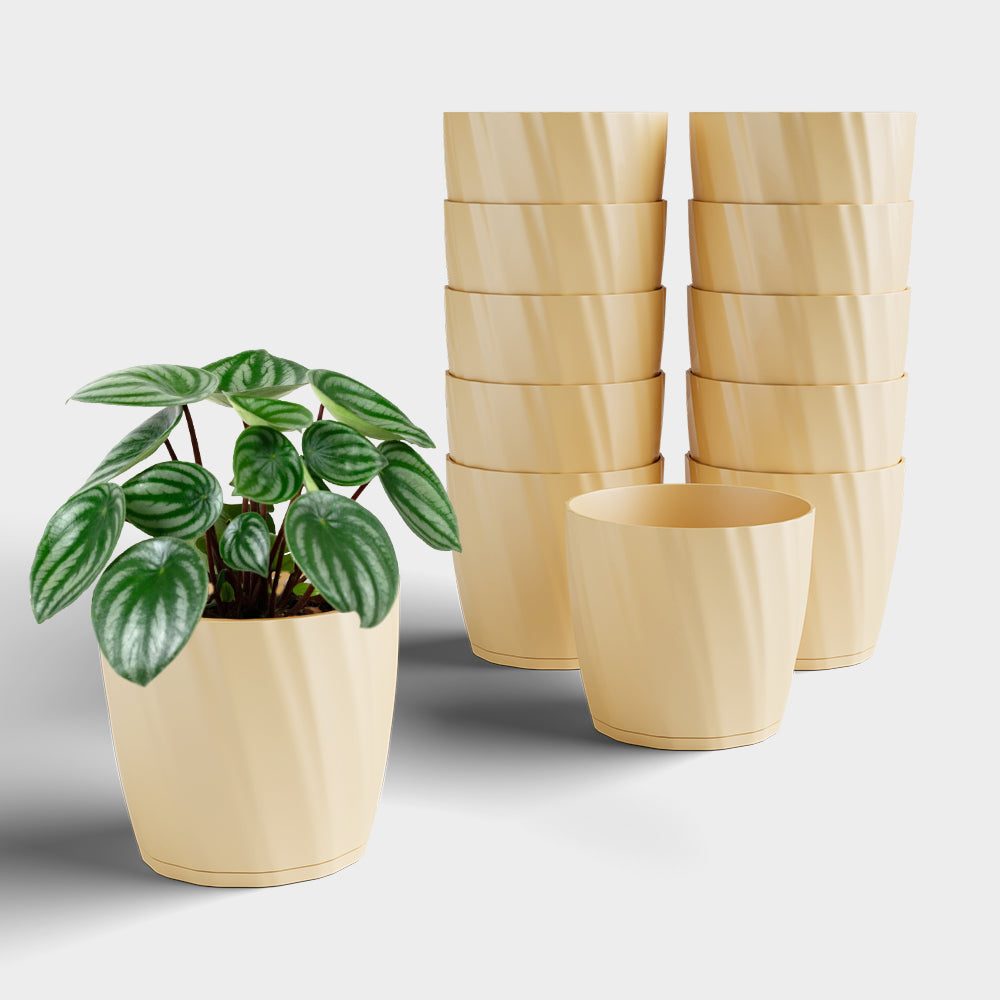 SHERA | ZINNIA PLANTER