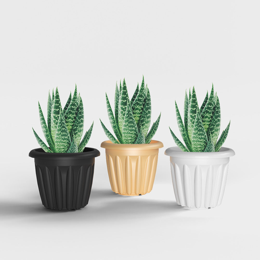 SHERA | FLOOT PLANTER