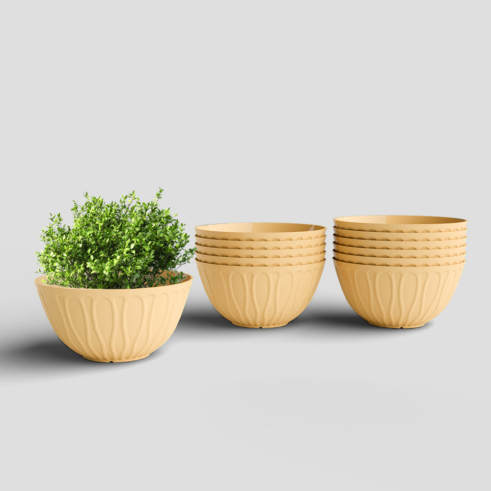 SHERA | WAVE KTR PLANTER