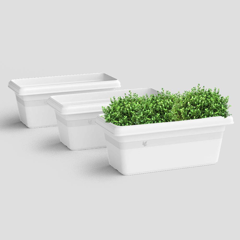 SHERA | TP PLANTER