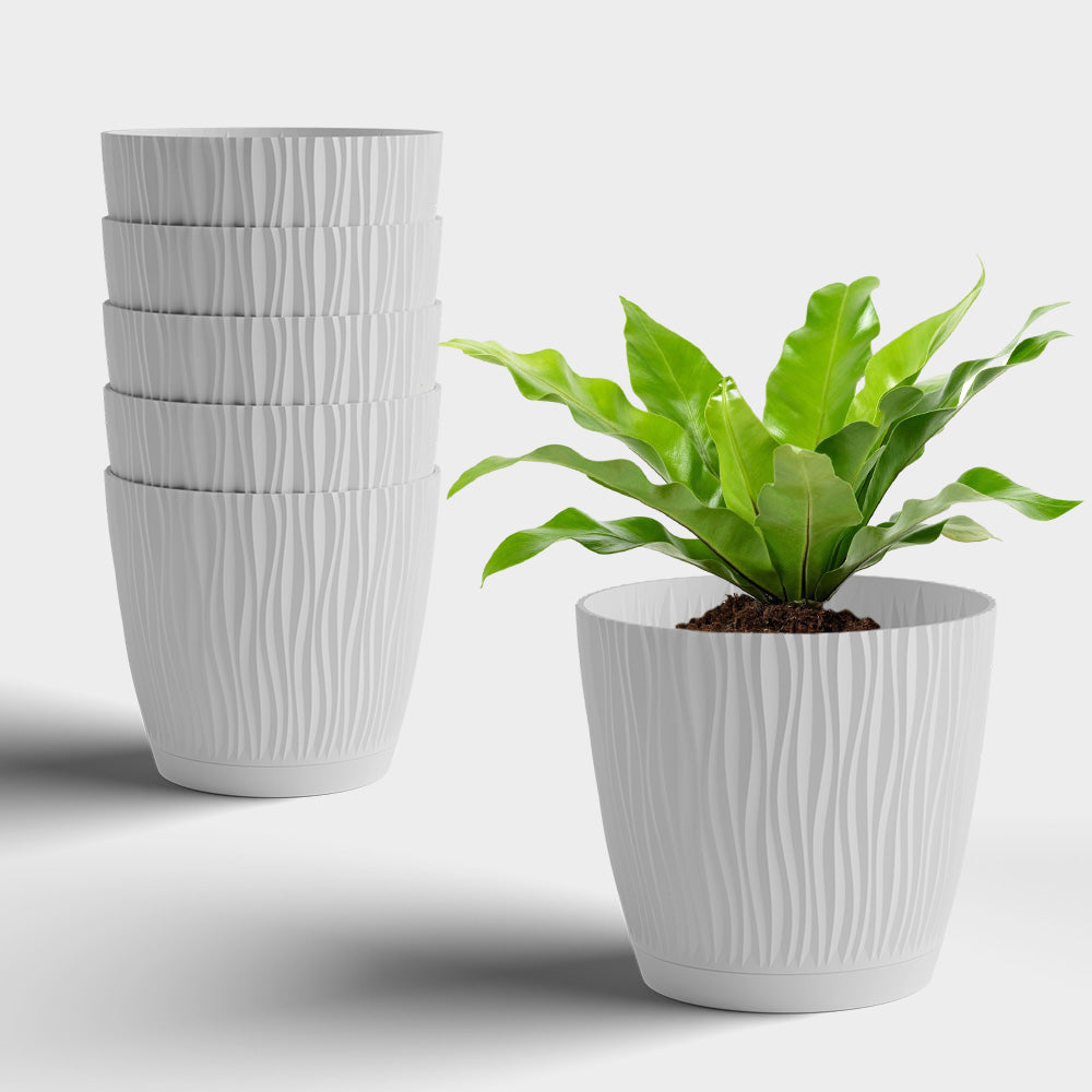 SHERA | EVA PLANTER