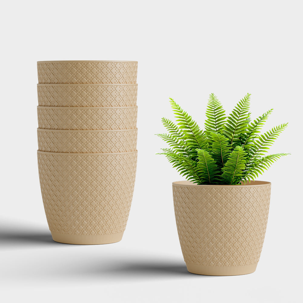 SHERA | CRUZ PLANTER