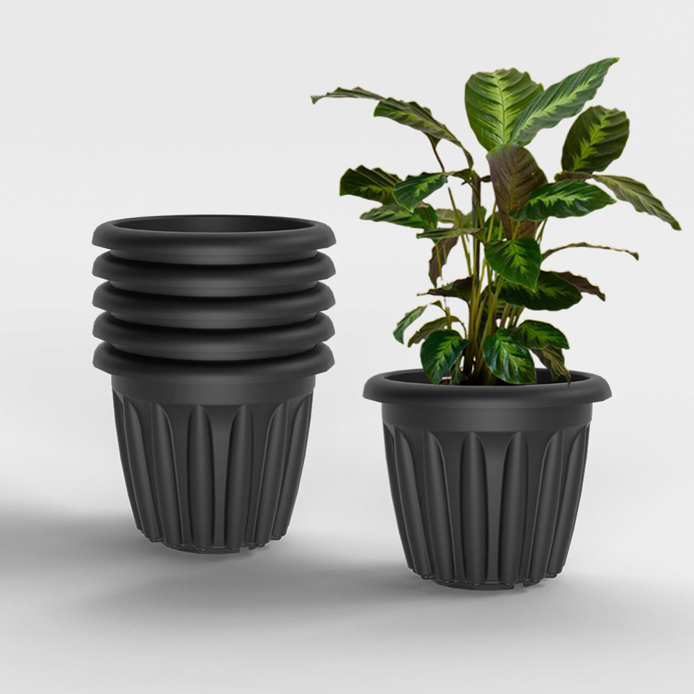 SHERA | FLOOT PLANTER