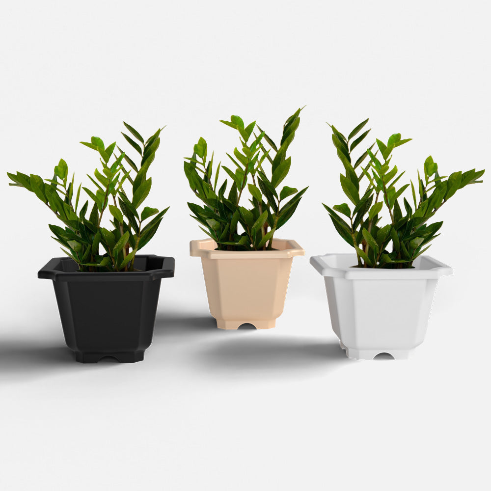 SHERA | OCTA PLANTER SET OF 3