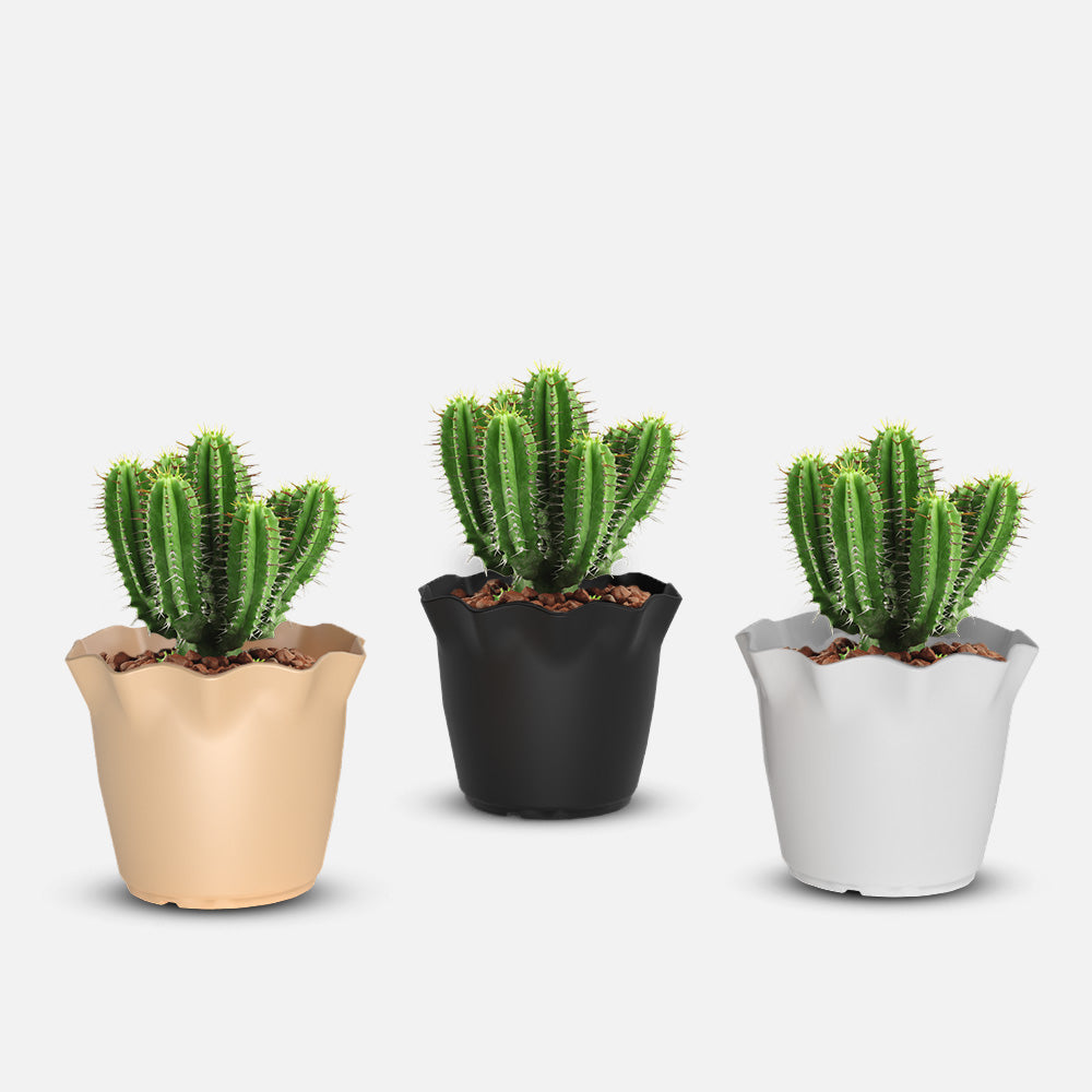 SHERA | FLOWER PLANTER