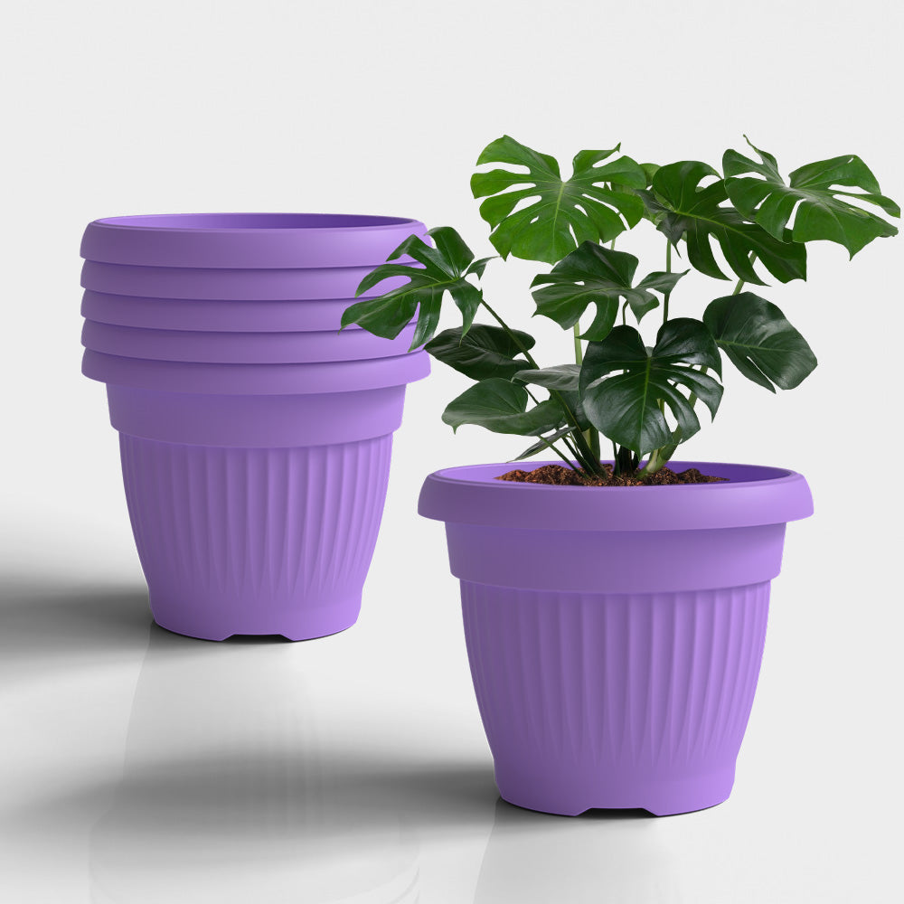 SHERA | BLOOM PLANTER