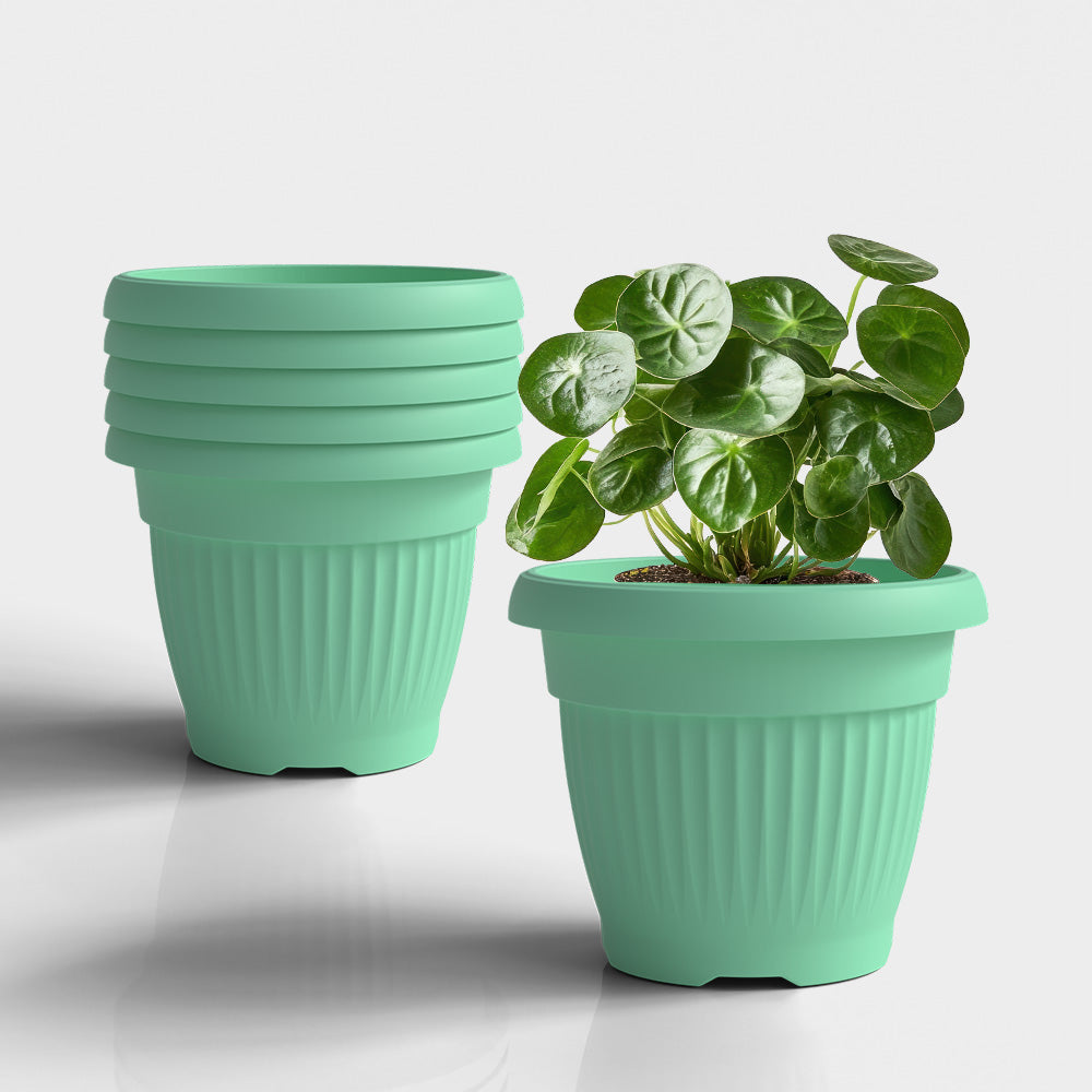 SHERA | BLOOM PLANTER