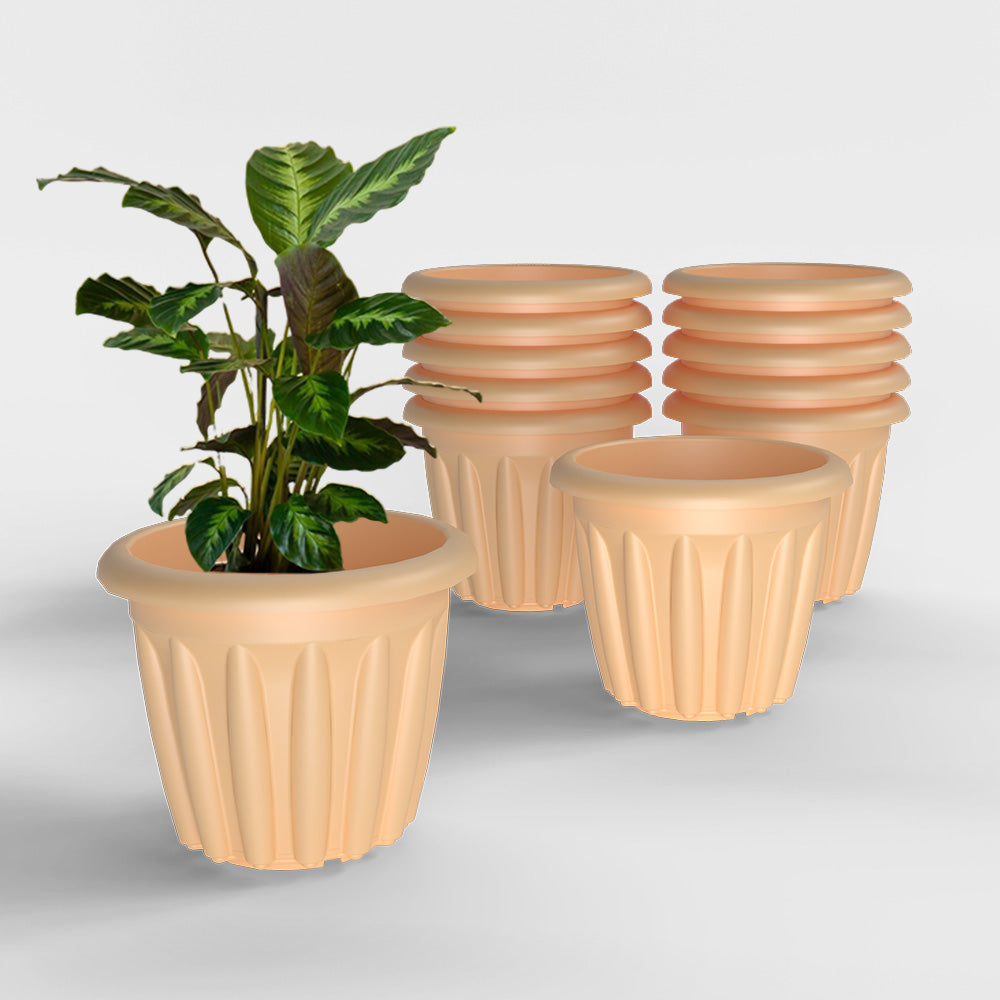 SHERA | FLOOT PLANTER