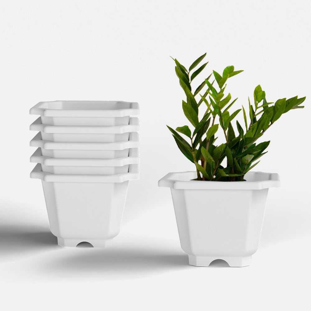 SHERA | OCTA PLANTER SET OF 6