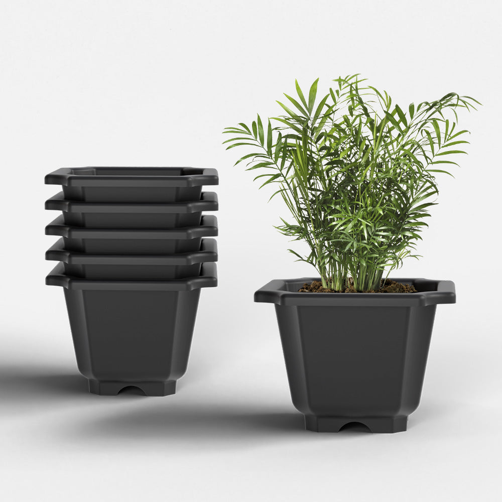 SHERA | OCTA PLANTER SET OF 6