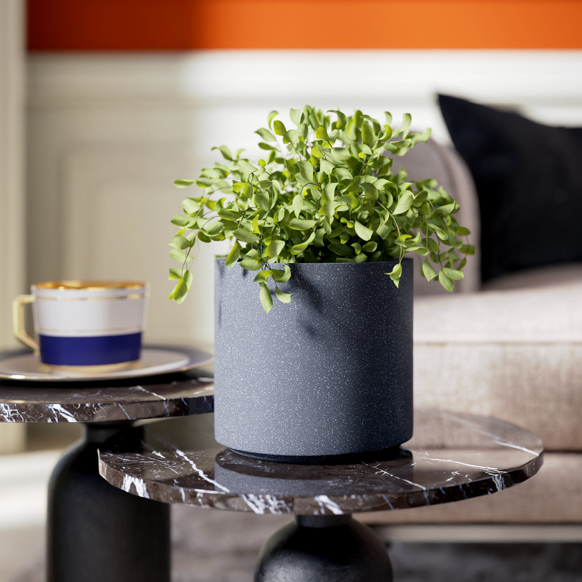 FOX B | CILIN PLANTER