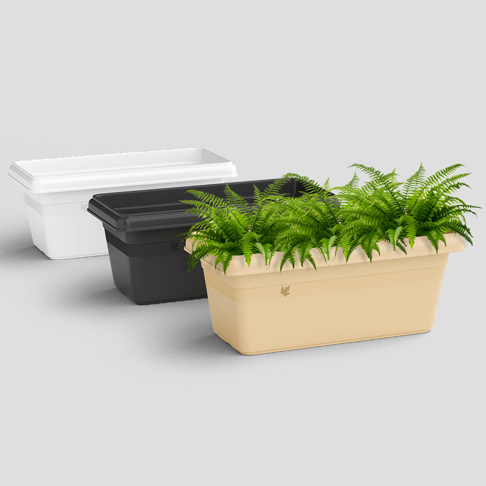 SHERA | TP PLANTER