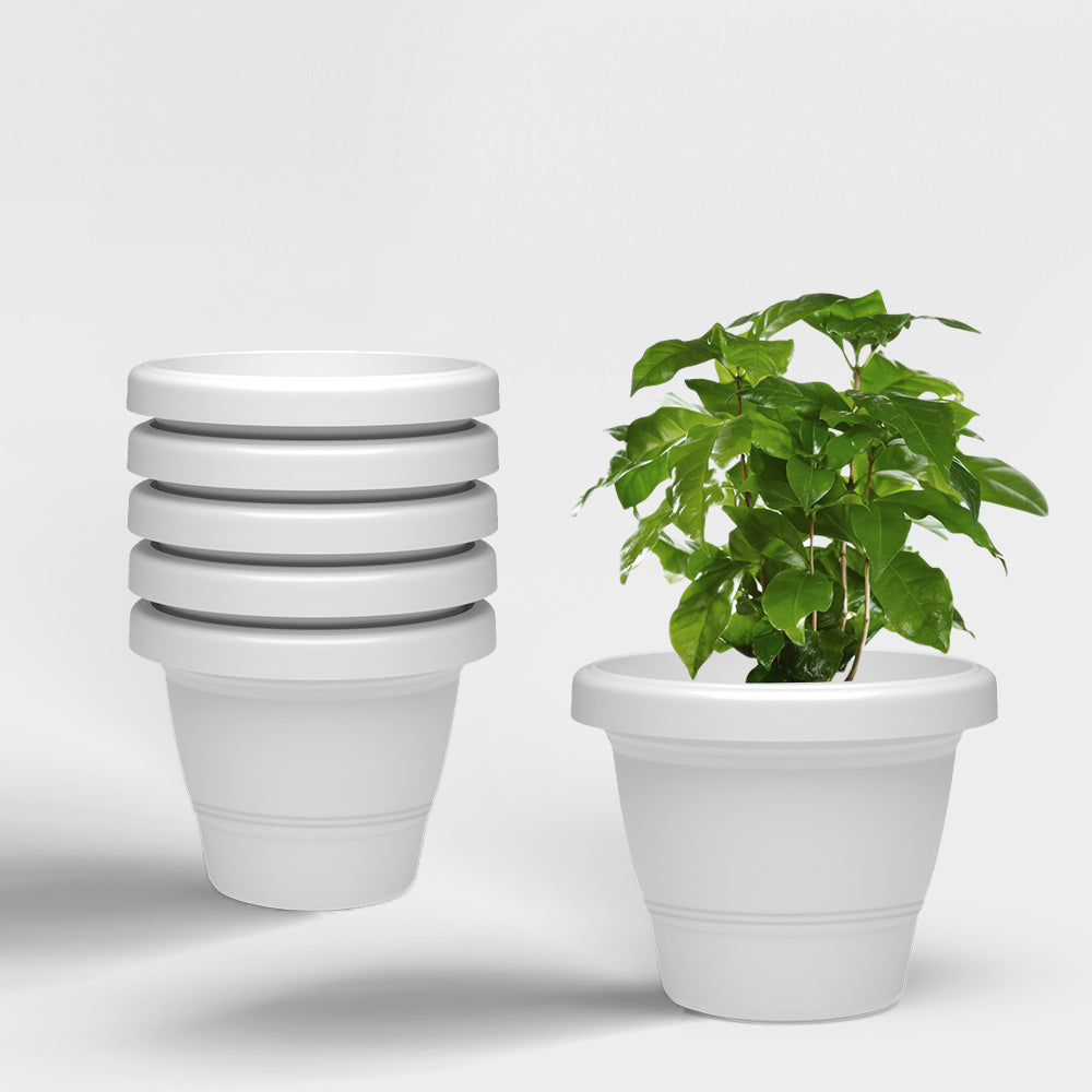 SHERA | SD PLANTER