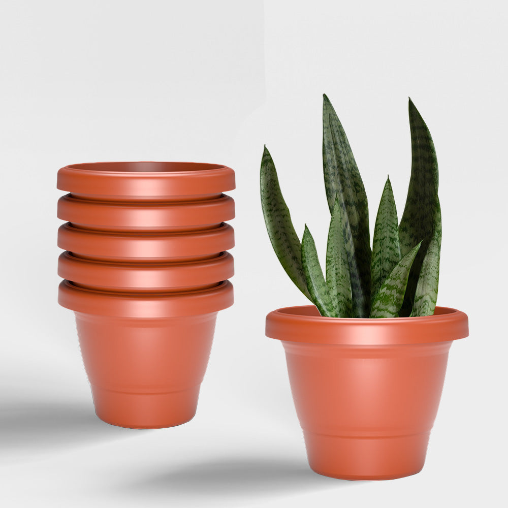 SHERA | SD PLANTER